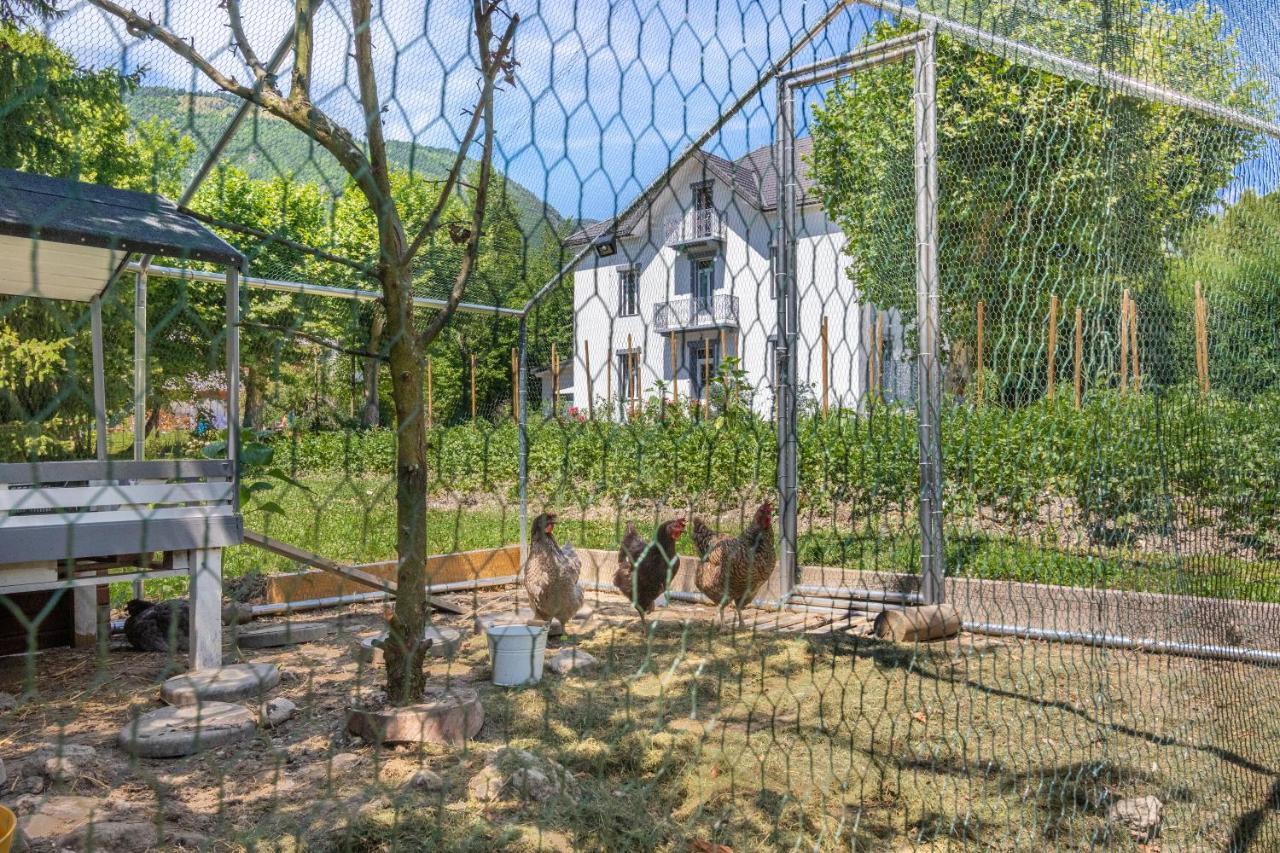Le Clos Grillet La Chambre Экстерьер фото